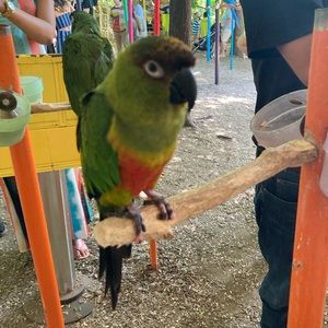 Meet your Posher, Amy